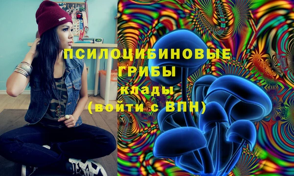 стаф Лагань