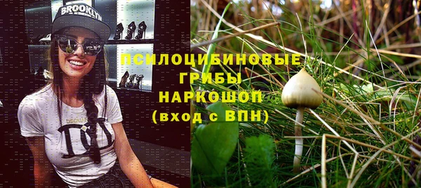 стаф Лагань