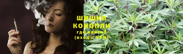 стаф Лагань